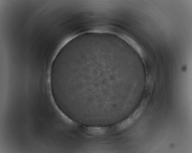 X0000103960855200809261810
