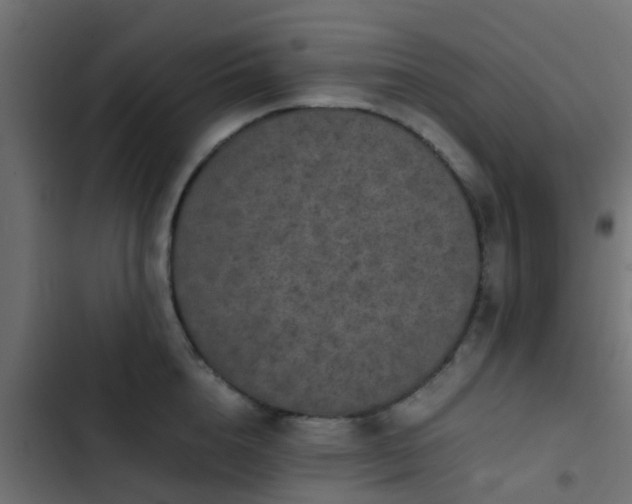 X0000103960856200809261810
