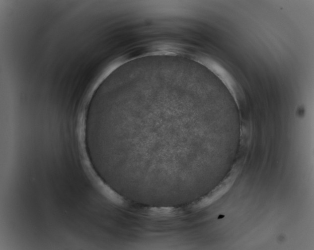 X0000103960859200809261810