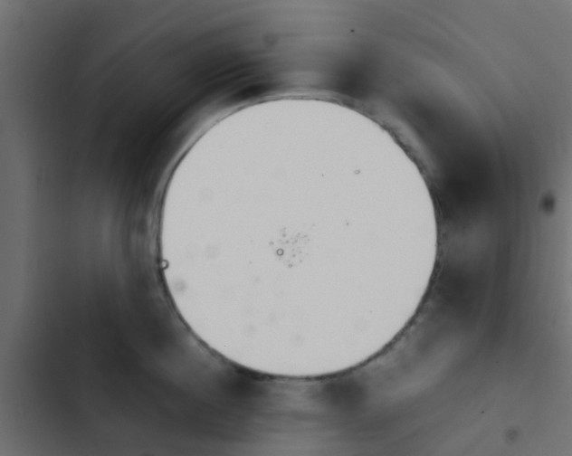 X0000103960860200809261810
