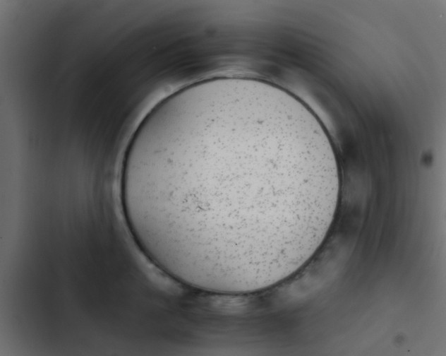 X0000103960861200809261810