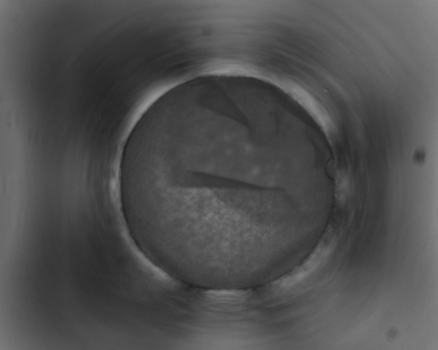 X0000103960863200809261810
