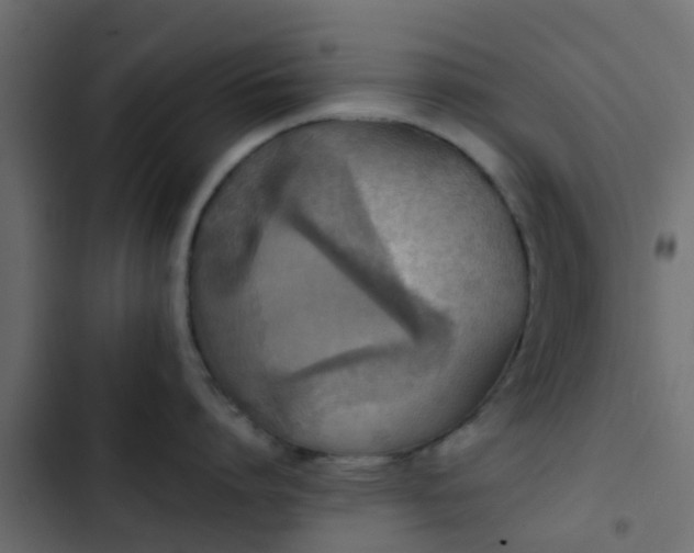 X0000103960864200809261810
