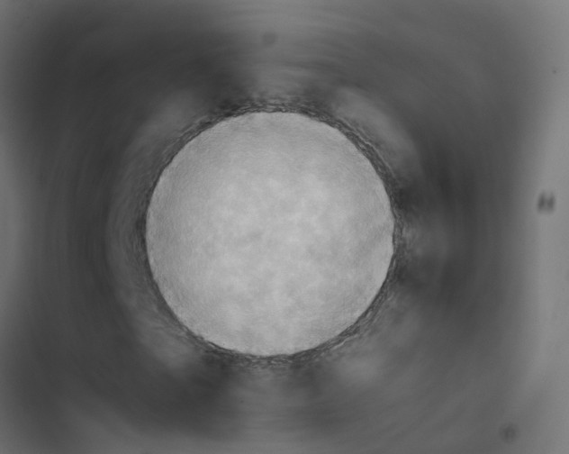 X0000103960865200809261809