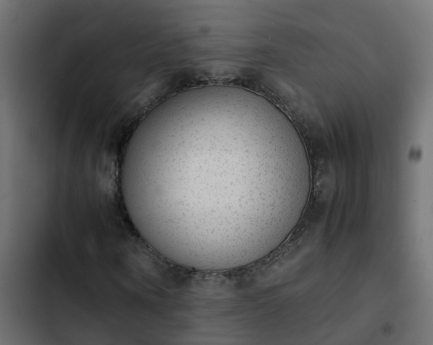 X0000103960866200809261809