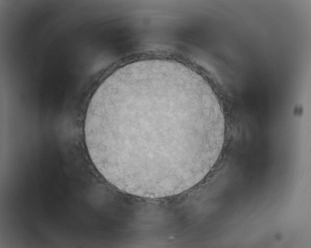 X0000103960869200809261809