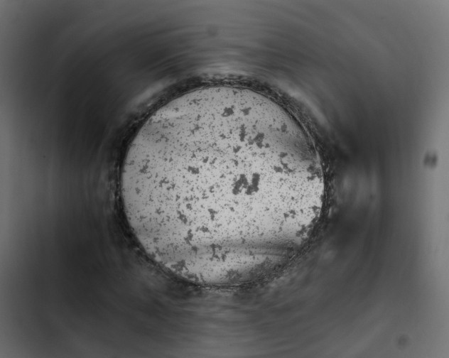 X0000103960870200809261809