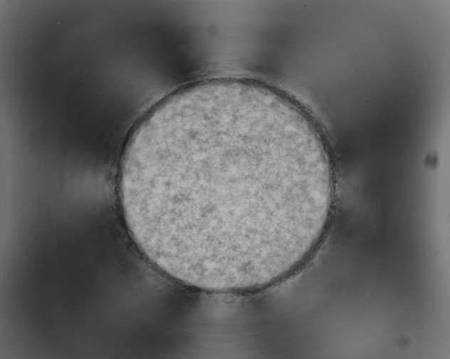X0000103960873200809261809