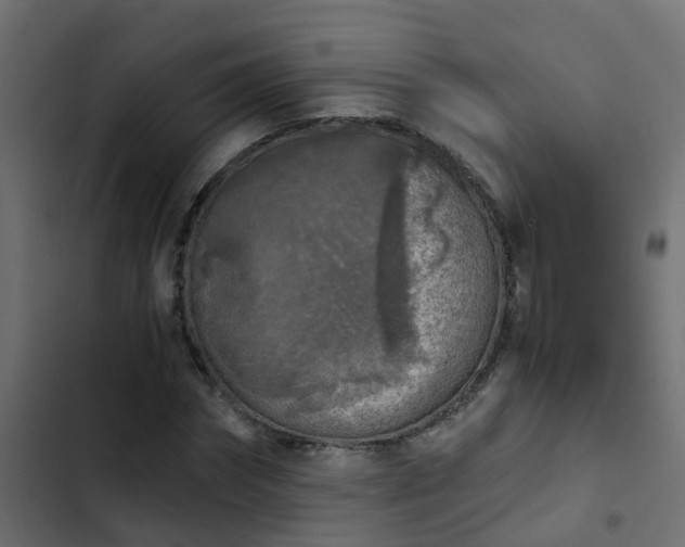 X0000103960874200809261809