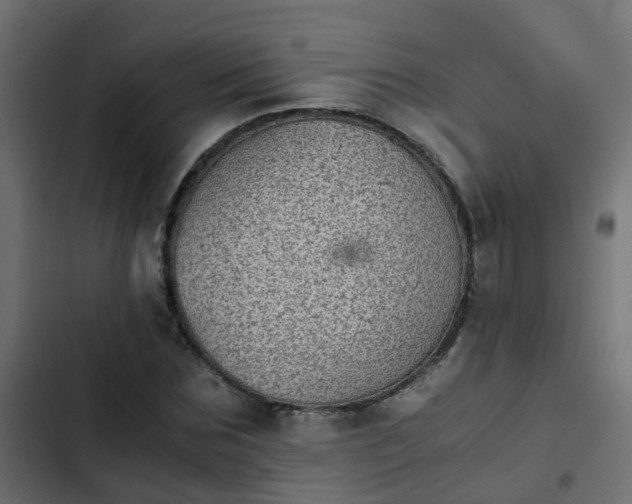 X0000103960875200809261809