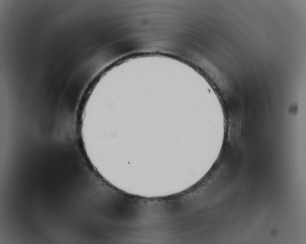X0000103960876200809261809