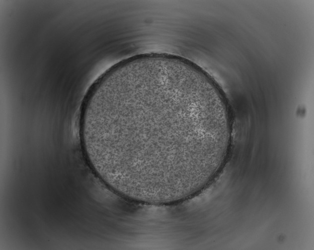 X0000103960877200809261809