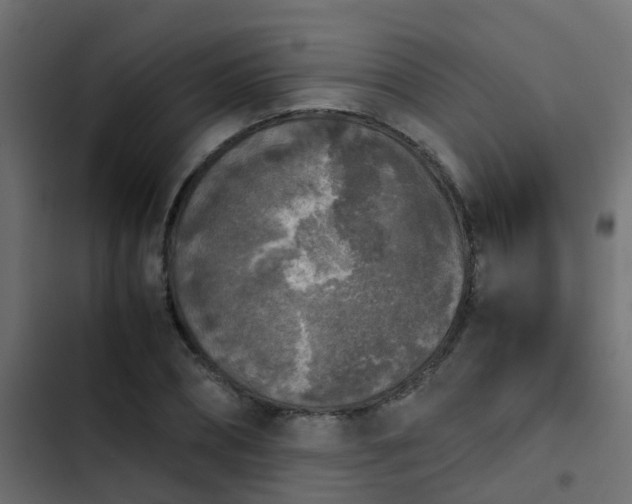 X0000103960882200809261809
