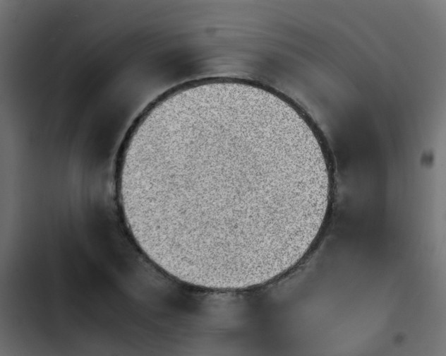 X0000103960883200809261809