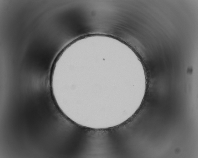 X0000103960884200809261809