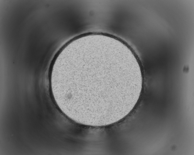 X0000103960887200809261809