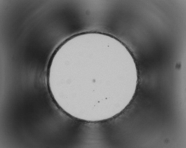 X0000103960888200809261809