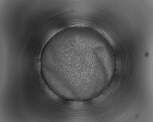 X0000103960890200809261808