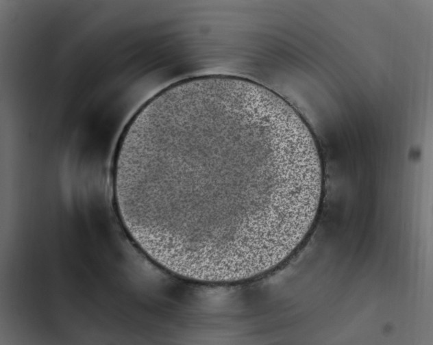 X0000103960892200809261808