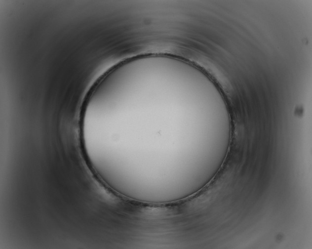X0000103960894200809261808