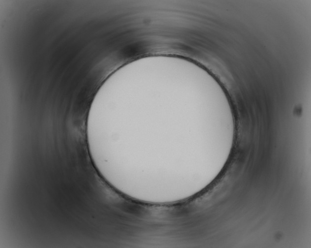 X0000103960897200809261808
