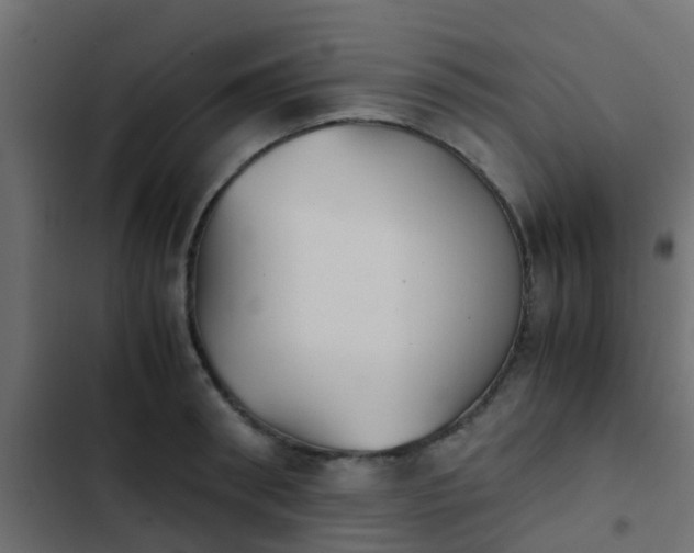 X0000103960898200809261808