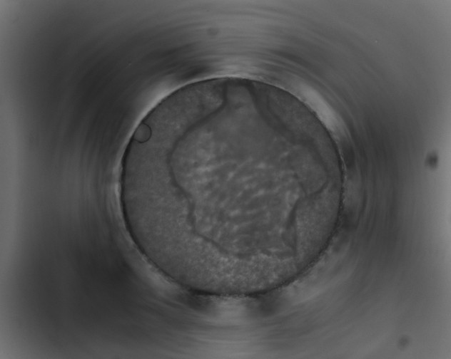 X0000103960899200809261808