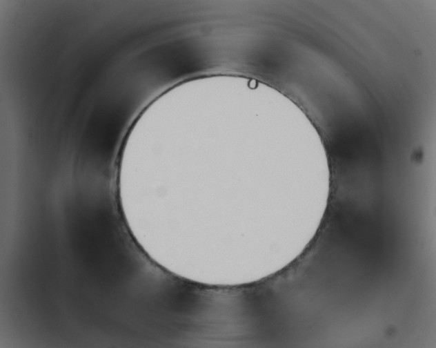 X0000103960900200809261808