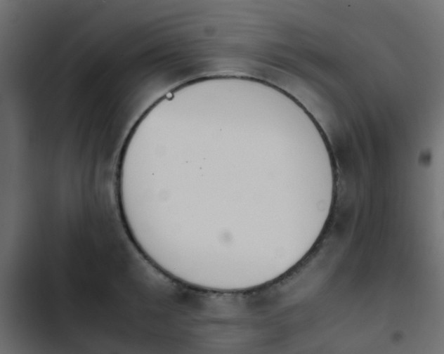 X0000103960901200809261808
