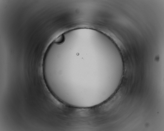 X0000103960902200809261808