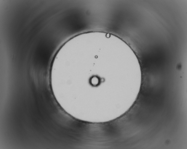 X0000103960904200809261808
