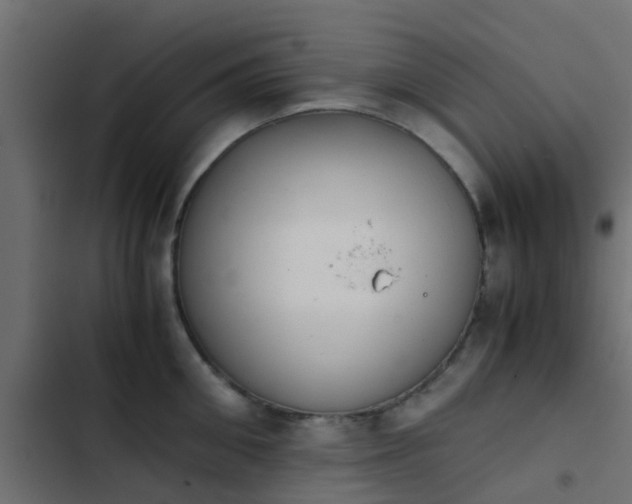 X0000103960906200809261808