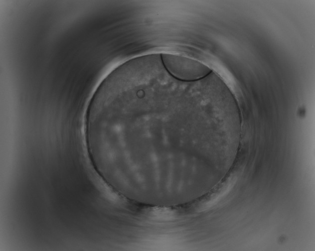 X0000103960907200809261808