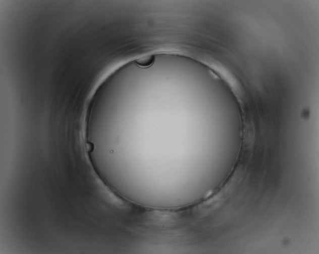 X0000103960910200809261808