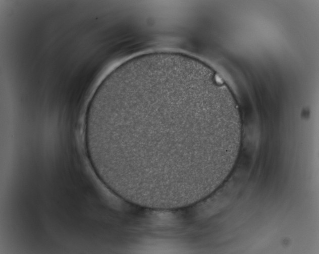 X0000103960911200809261808