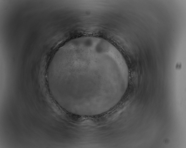 X0000103960913200809261807