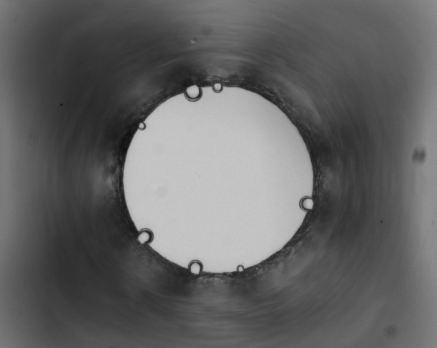 X0000103960914200809261807
