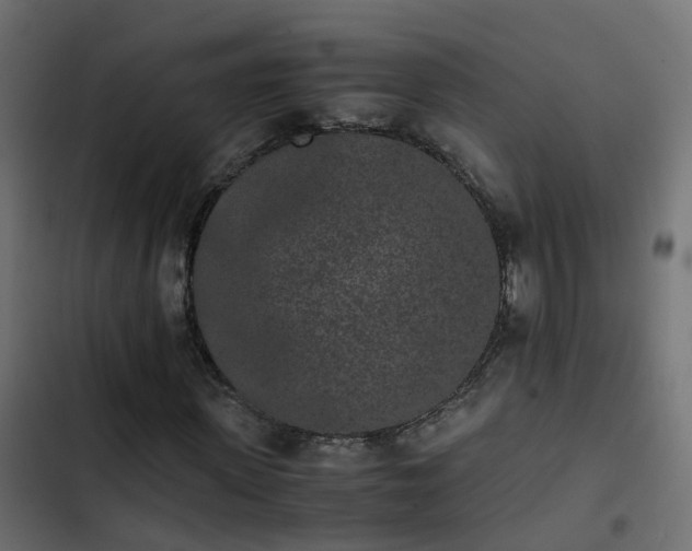 X0000103960915200809261807