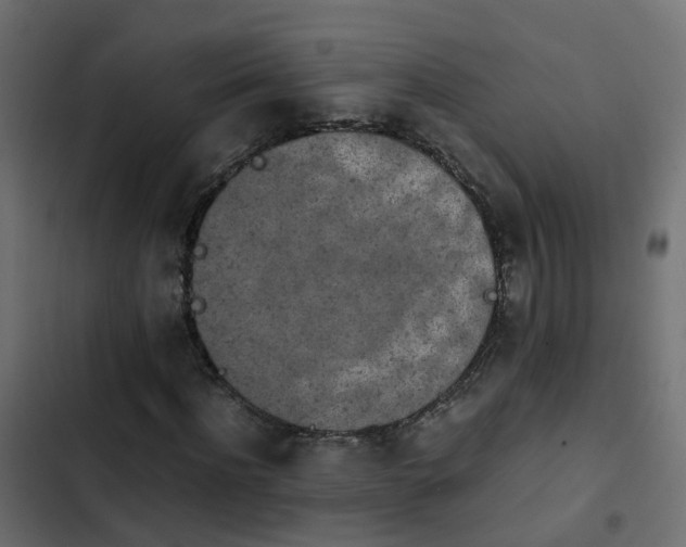X0000103960916200809261807