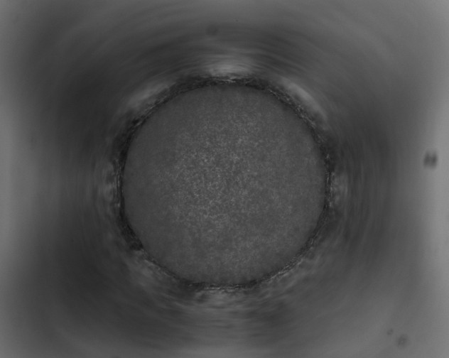 X0000103960917200809261807