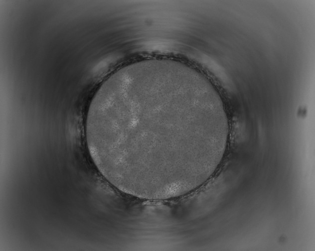 X0000103960918200809261807
