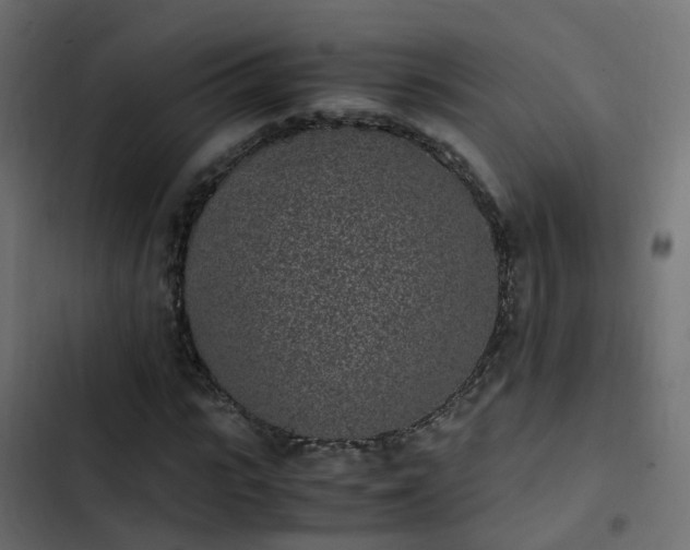 X0000103960919200809261807