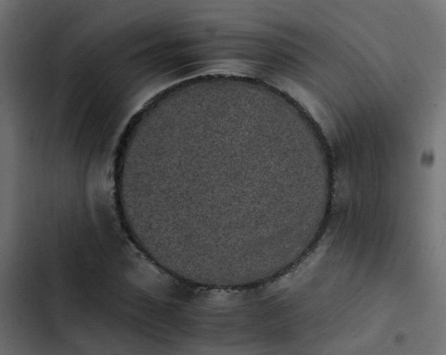 X0000103960923200809261807