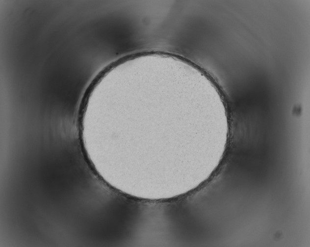 X0000103960924200809261807