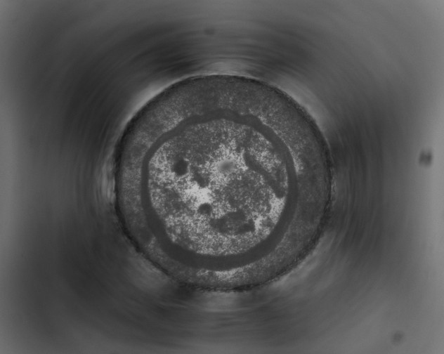 X0000103960925200809261808