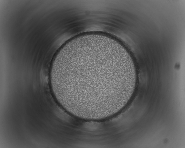 X0000103960929200809261808