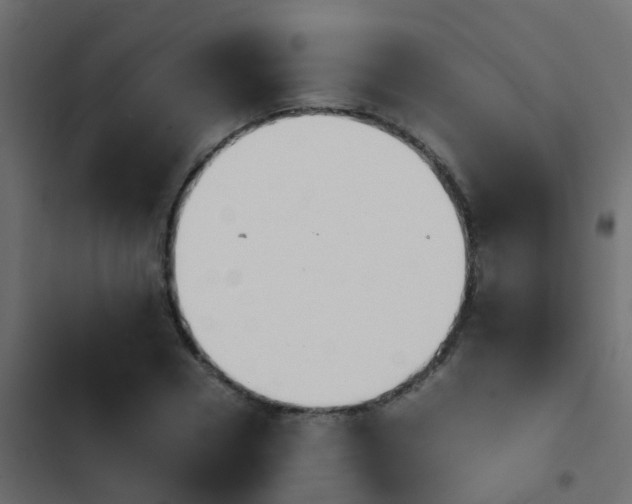 X0000103960930200809261808