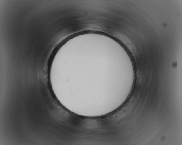 X0000103960931200809261808