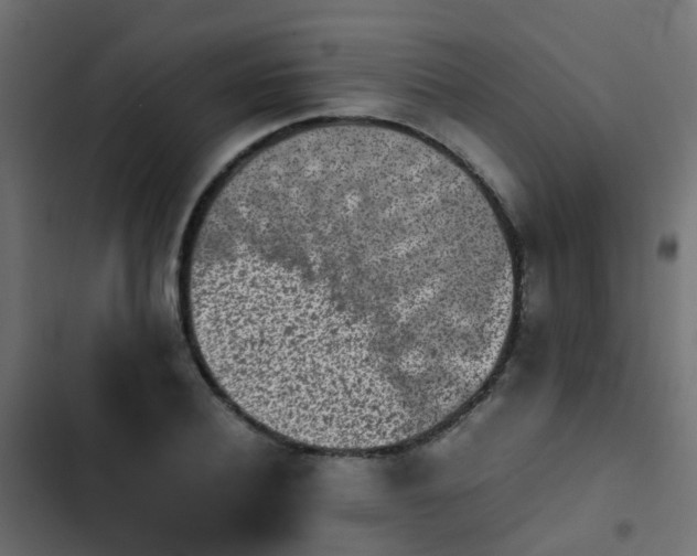 X0000103960932200809261808