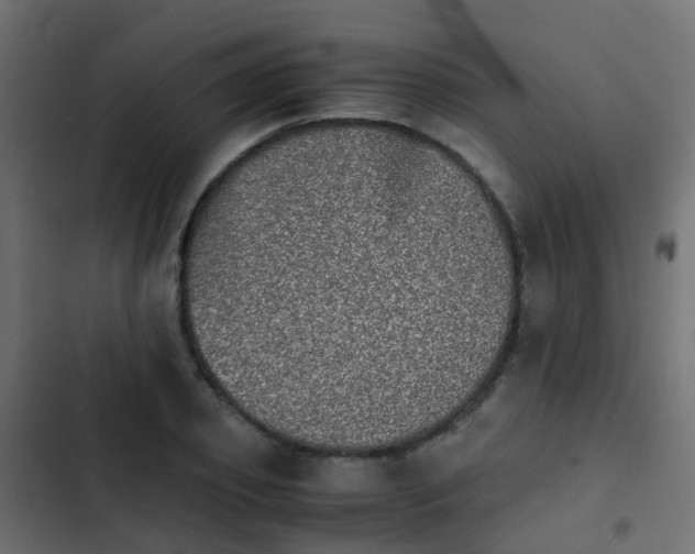 X0000103960933200809261808